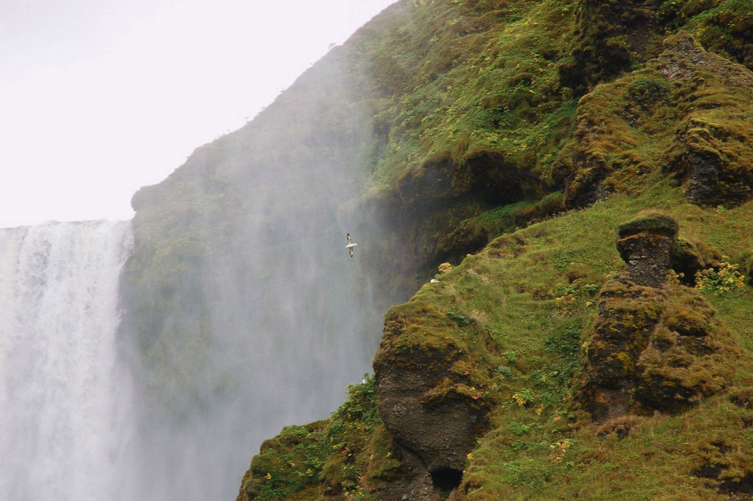 водопад на юге Исландии