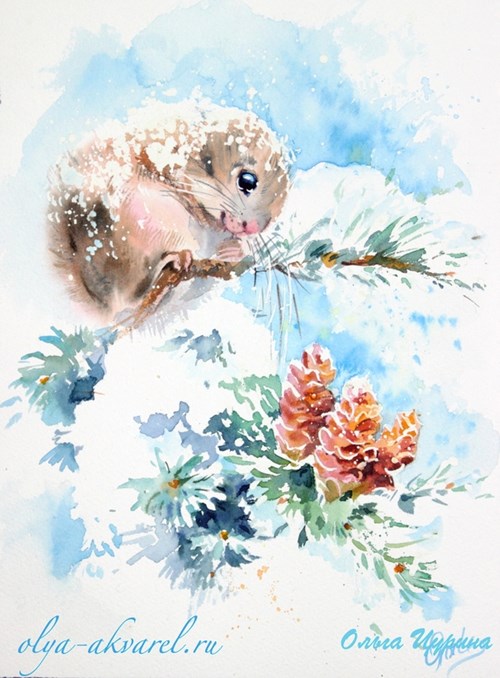 Цурина Ольга акварель картины Момонга (белочка) шишки, снег, зима