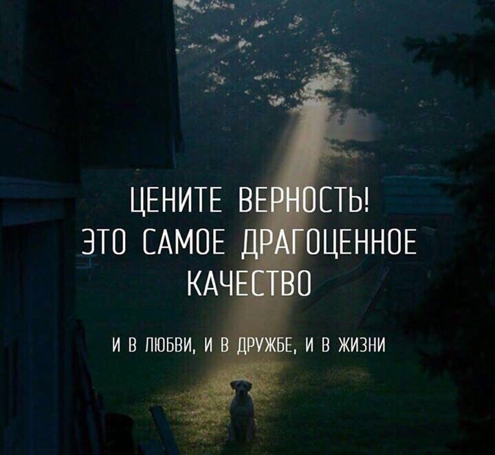 Красивые и грустные статусы про измену - читать бесплатно, в картинках 13