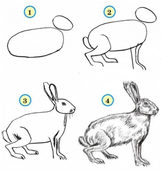 рисовать кролей