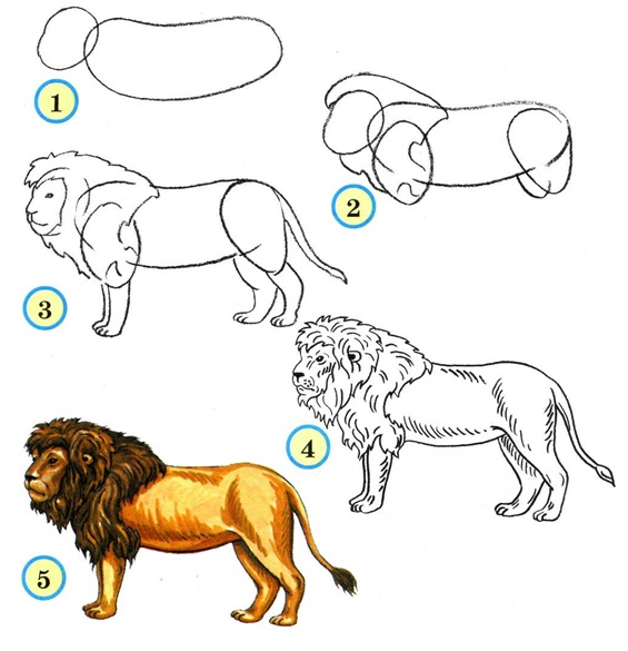 рисовать льва