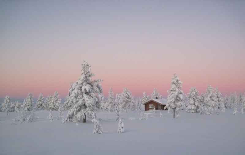 Borealnye-lesa-zimoj-Norvegiya