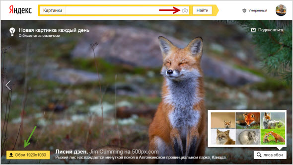 обои яндекс картинки на рабочий стол