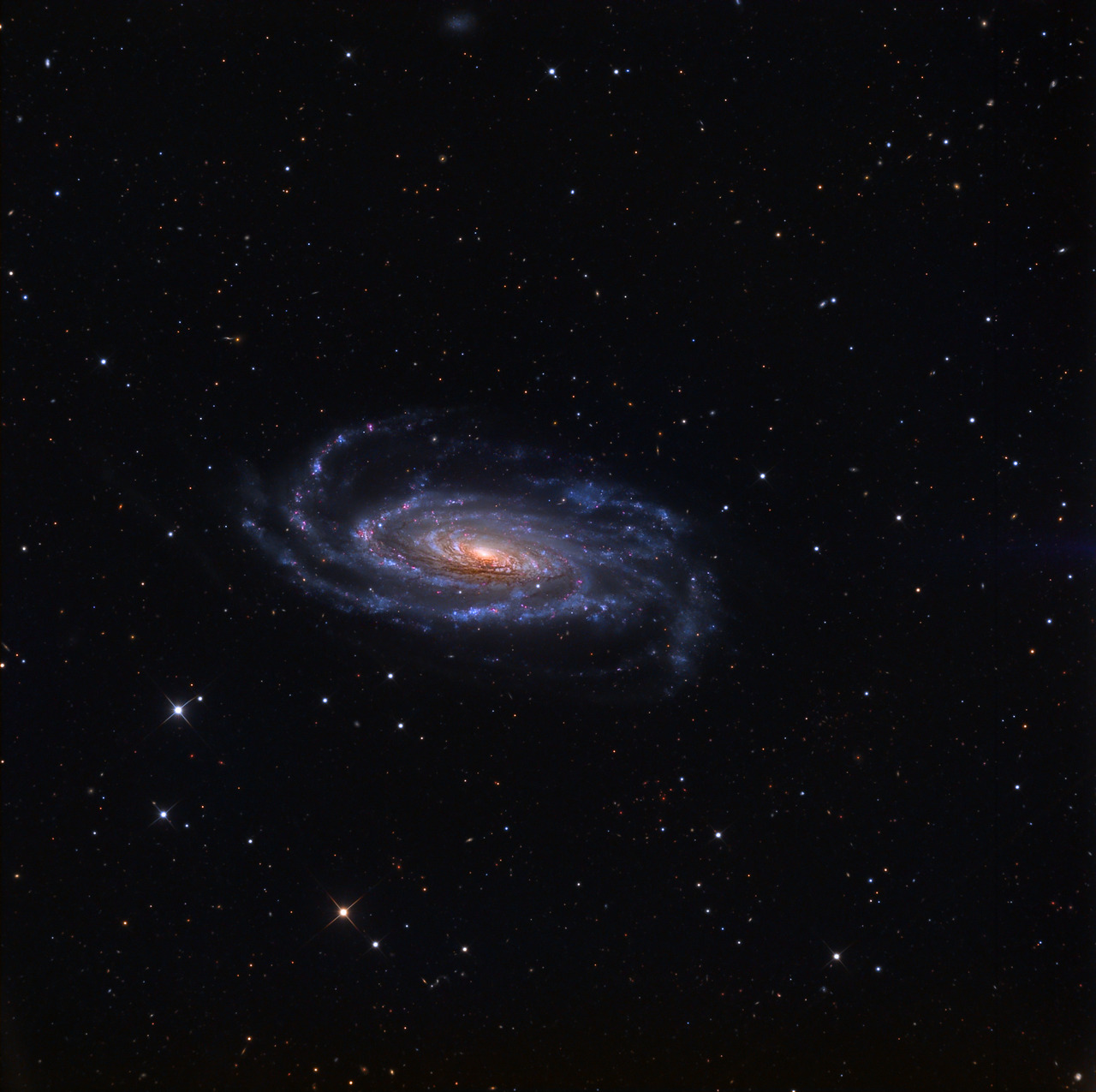 Спиральная галактика NGC 5033
