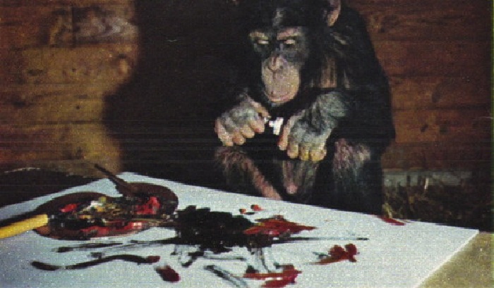  Шимпанзе Питер в творческом поиске. | Фото: livejournal.com. 