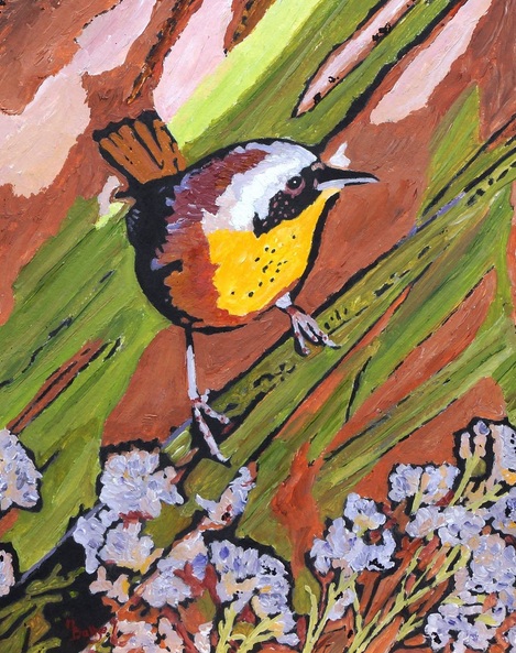Margaret Battye - Yellow Throated Warbler