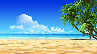 Дикий пляж с видом на море. (Код изображения: 05095)