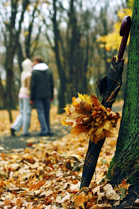 осень романтика и любовь, желтые листья и влюбленная пара