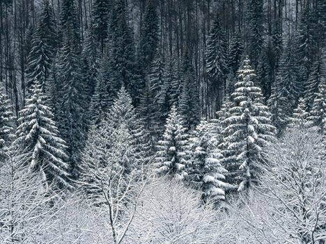 Картины зимний пейзаж: самые красивые