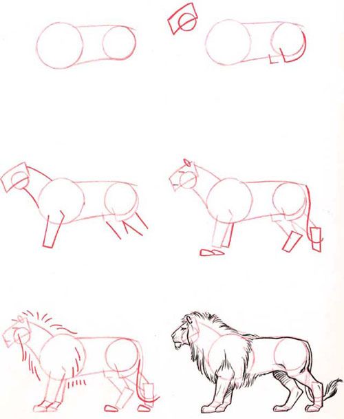 Рисунки карандашом для начинающих: животные 