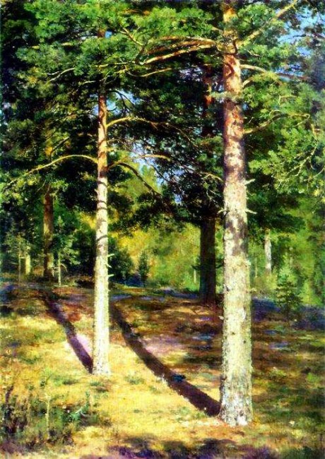 летний день