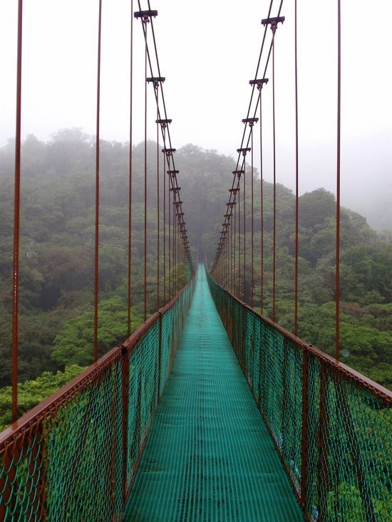 Selvatura Hanging Bridges, Costa Rica