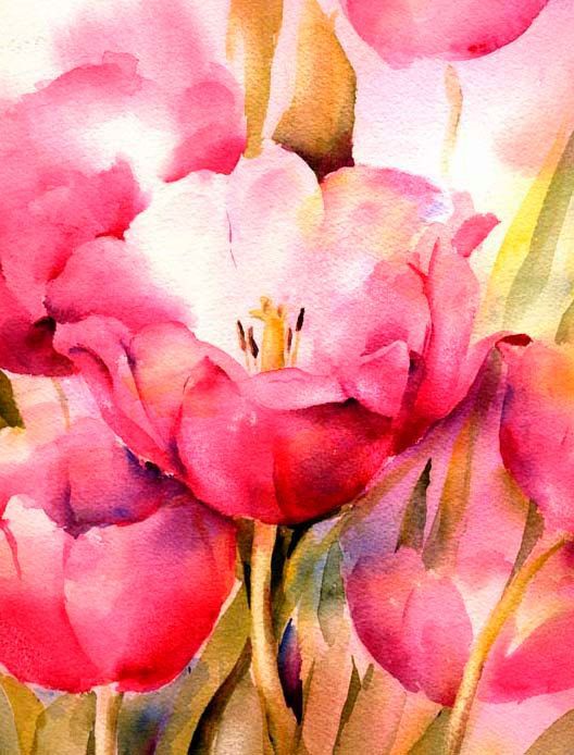 Pink Tulip Watercolor Print Fine Art Giclee by ConnieTownsArt, $35.00