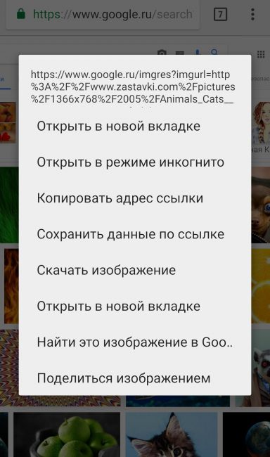 Нажимаем "Найти изображение в Google"