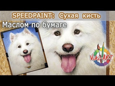 Master Class. How to draw a dog oil on paper. Dry brush. Fast drawing. StudioVikiART