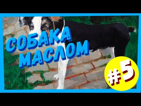 собака маслом