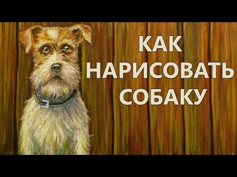 Как нарисовать собаку - How to paint a dog - Andrew Pugach