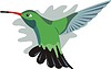 Летящая колибри | Векторный клипарт