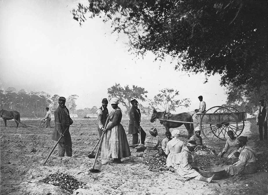 James_Hopkinsons_Plantation_Slaves_Planting_Sweet_Potatoes.jpg