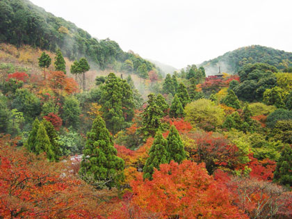 осень в Киото