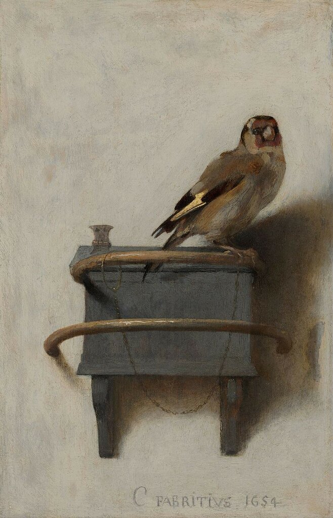 Fabritius-vink1654.jpg