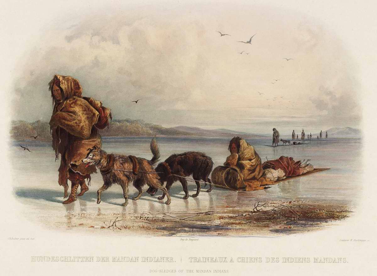 Собачьи повозки индейцев племени манданов - Karl Bodmer