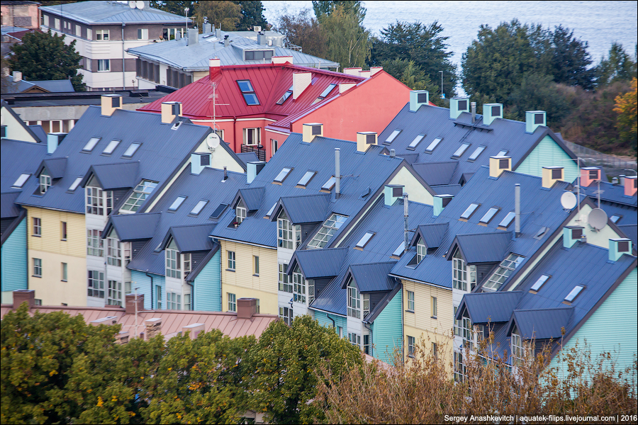 Таллинские крыши