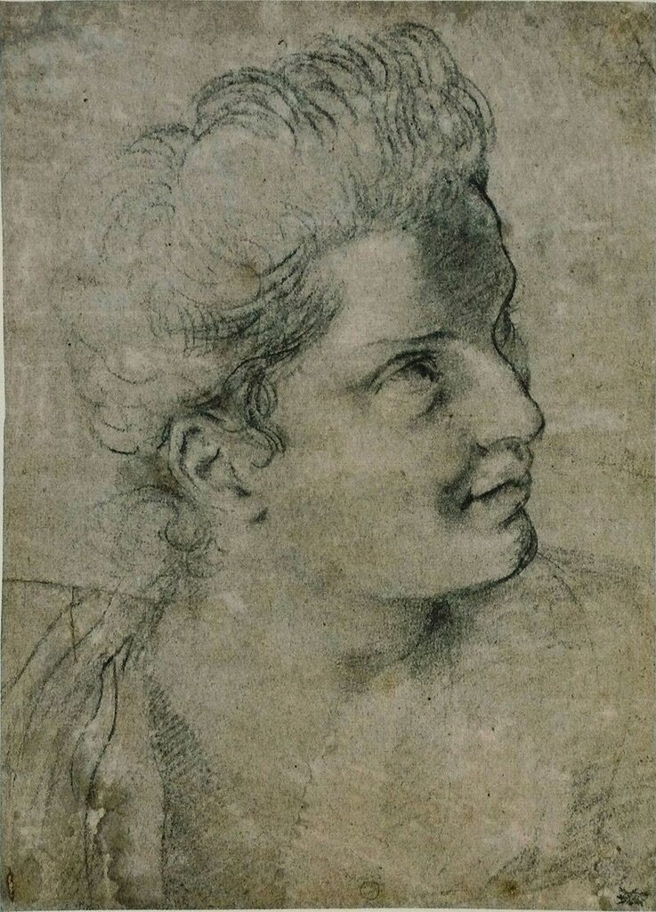 Annibale_Carracci_-_Tête_de_femme.jpg