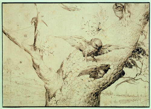 14 Hieronymus Bosch - The owls&apos; nest.jpg