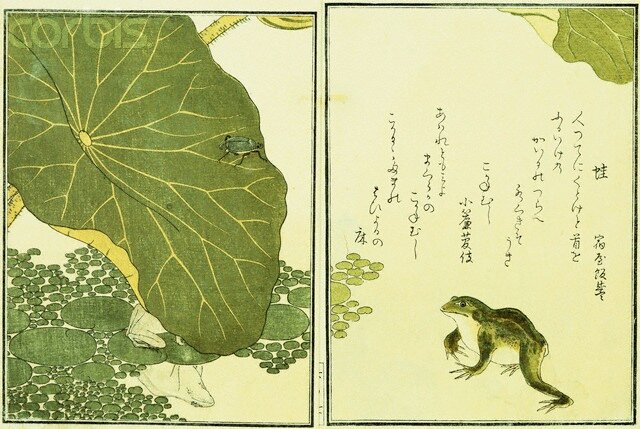 Illustration from <A Picture Book of Selected Insects> (Frog and Lilypad) by Utamaro