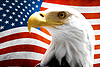 Орел на фоне американского флага | Фото