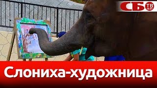 Удивительная слониха-художница пишет картины | интересное видео