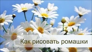 Ромашки маслом. Видеоурок Игоря Сахарова о рисовании ромашек маслом