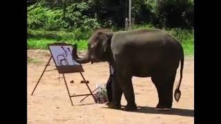 The elephant draws a picture Слон рисует картину