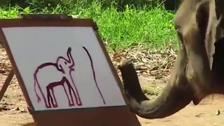 Невероятно! Слон рисует автопортрет хоботом