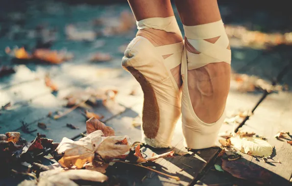 Обои палуба, балерина, ноги, пуанты, солнце, осень, листья