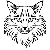 Контур кошки портрет | Векторный клипарт