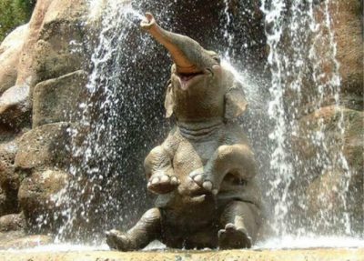 Слон водопад