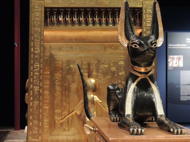 Кошка на египетском троне