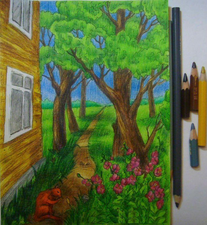 Как нарисовать пейзаж цветными
карандашами, шаг 12
