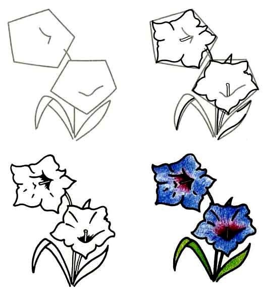 Как нарисовать цветок - Горечавка, фото