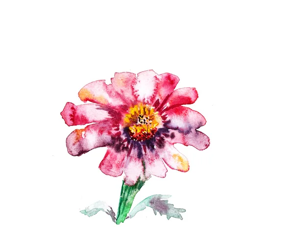 Акварельная живопись цветок — стоковое фото