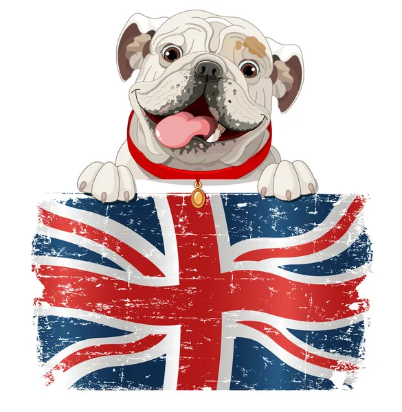 Английский бульдог на британский флаг — стоковый вектор