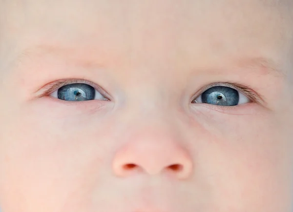 Новорожденных глаза и нос — стоковое фото