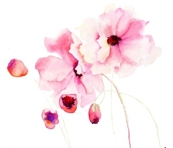 Красочные розовые цветы — стоковое фото