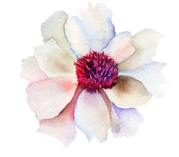 Бутон белый цветок — стоковое фото