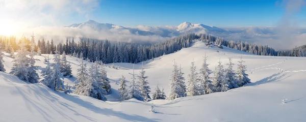 Панорама гор зимой — стоковое фото