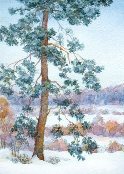 Акварель пейзаж. Дерево сосны в степи зимой — стоковое фото