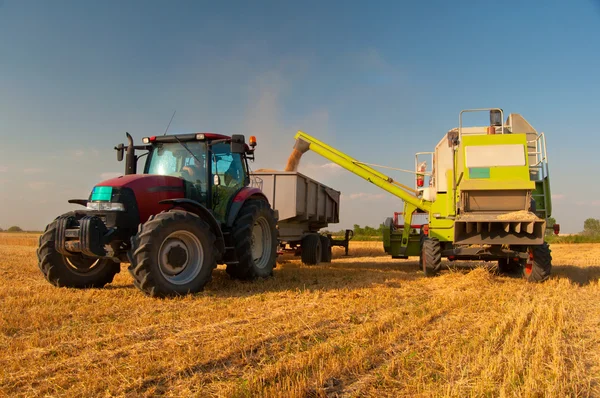 Современные Жатки комбайнов выгрузки зерна в трактор на солнечный летний день — стоковое фото
