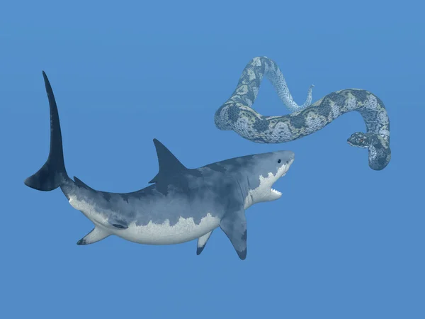 Большой белой акулы и Титанобоа — стоковое фото